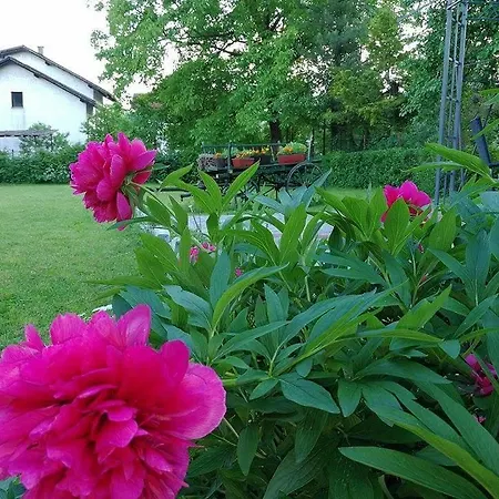 Bed & Breakfast Una Bihać