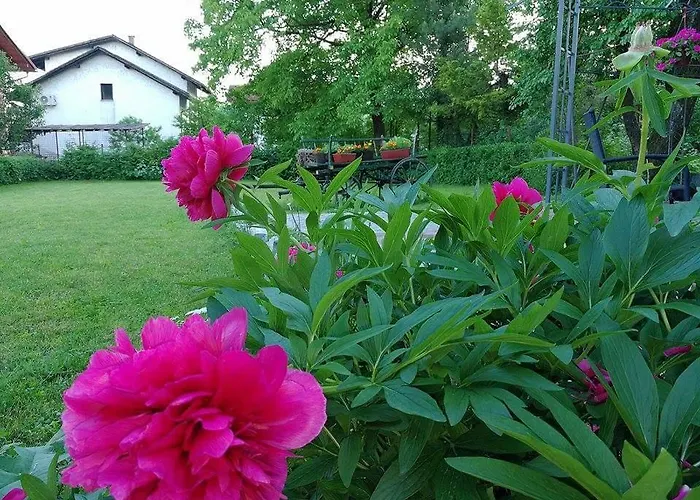 Bed & Breakfast Una Bihac